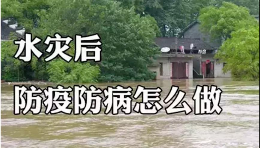 &#20048;&#25237;&#22312;&#32447;&#45;&#20048;&#25237;&#22312;&#32447;&#40;&#20013;&#22269;&#41;